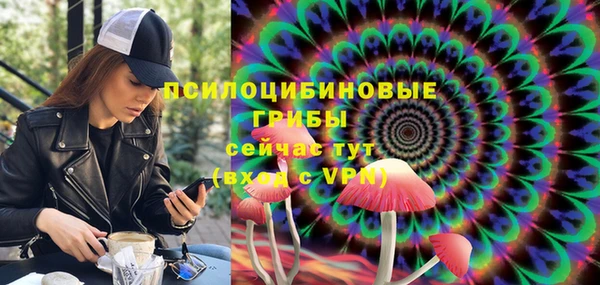 стаф Белокуриха