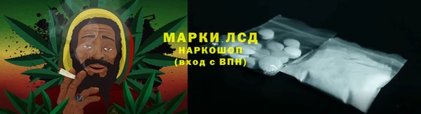 стаф Белокуриха