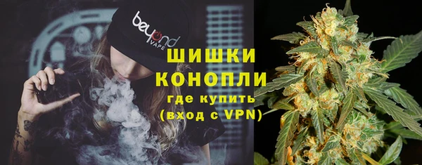 стаф Белокуриха