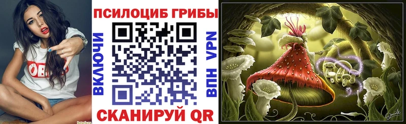 Галлюциногенные грибы Psilocybe  МЕГА ссылки  Высоковск  сколько стоит 